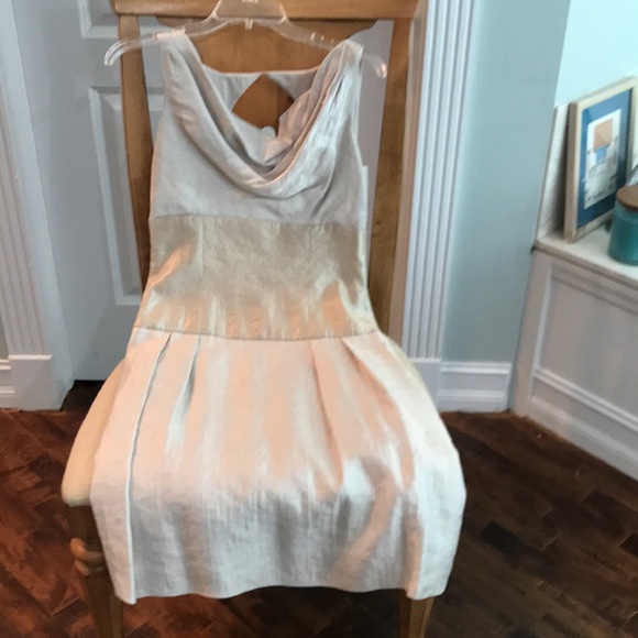 Adrianna Papell Dresses & Skirts - Adriana Papell champagne colored dress. Lined.